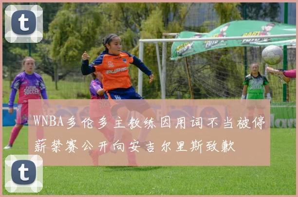 WNBA多伦多主教练因用词不当被停薪禁赛公开向安吉尔里斯致歉